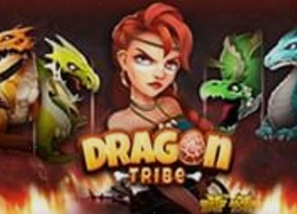 dragon tribe open wild